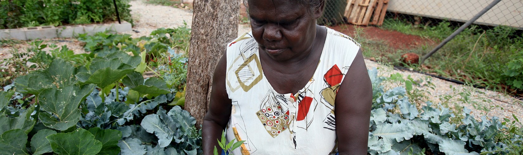 Food Security In Remote Aboriginal Communities Fred Hollows