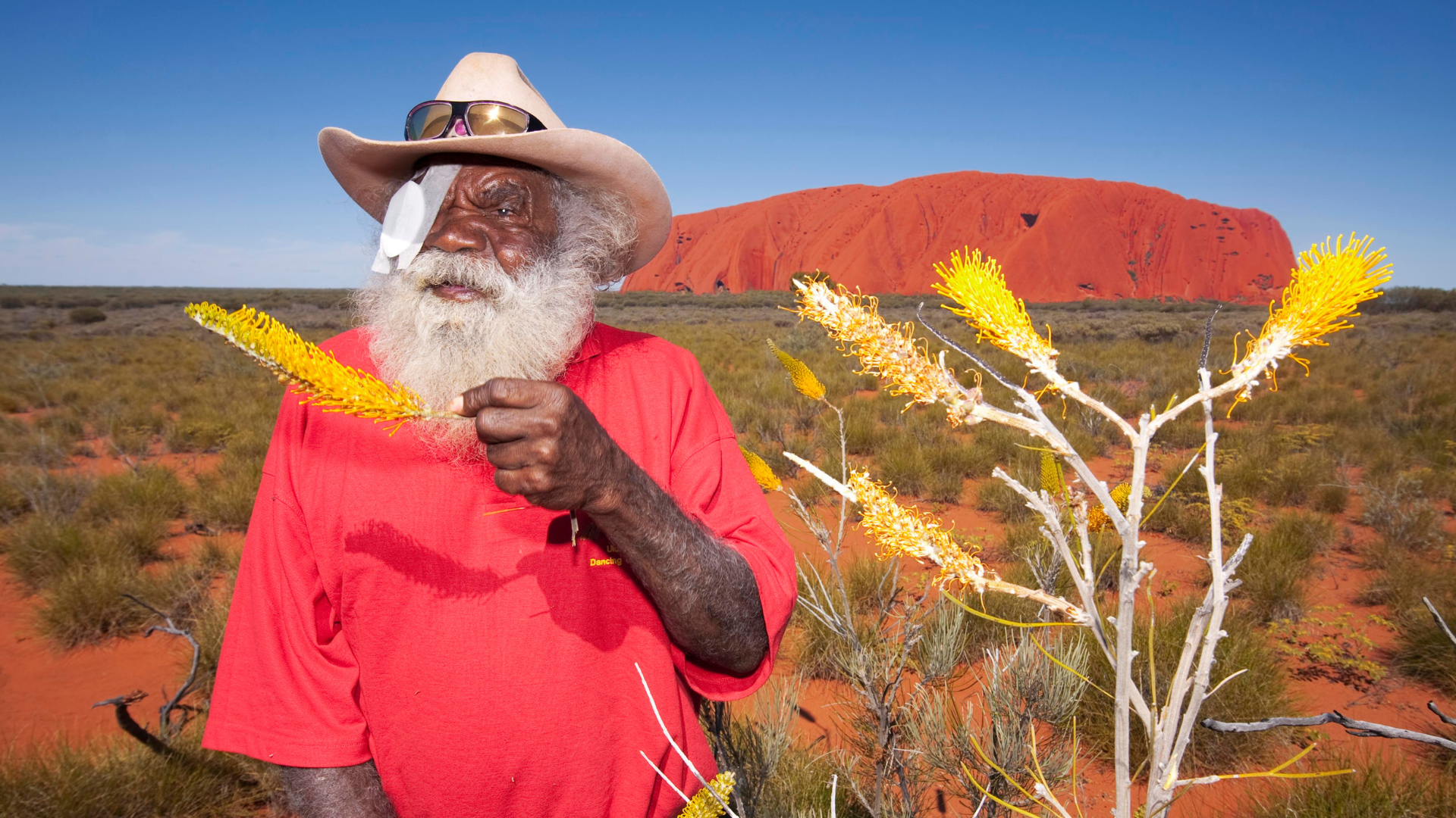 Reggie pictured in front of Uluru, holding up wattle with a bandage over his right eye